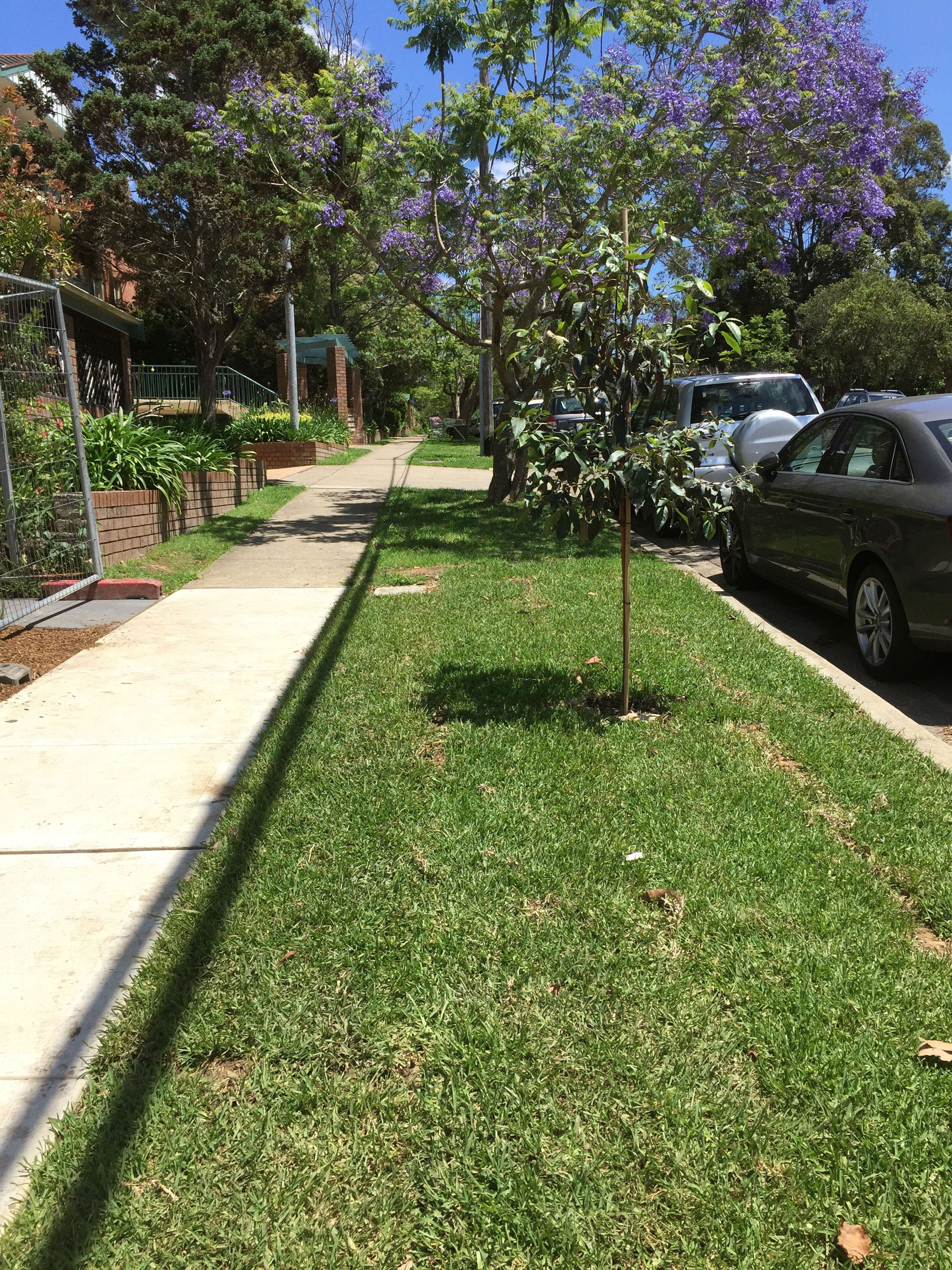 Residential Unit Blocks Image -564a27a3c37cf